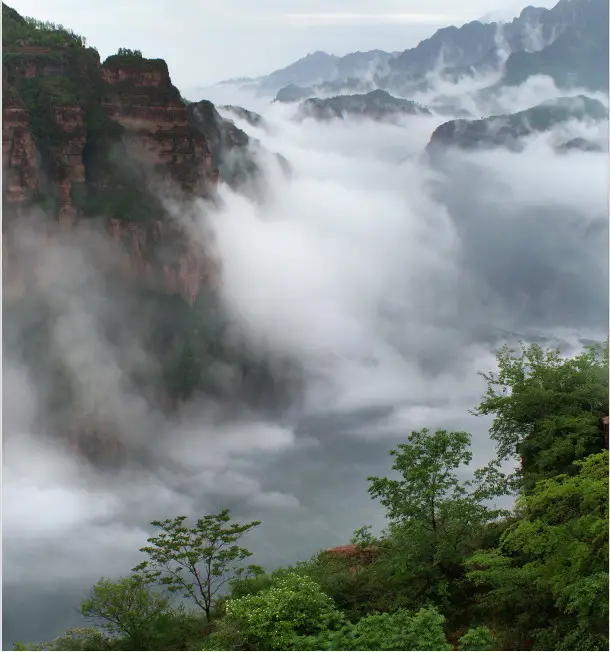 微信图片_20250617155641_看图王.web