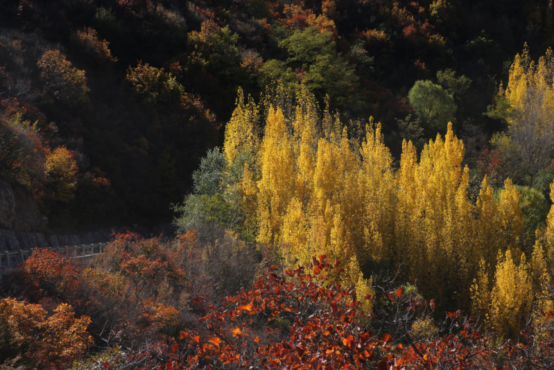 微信图片_2025-11-06_091124_351