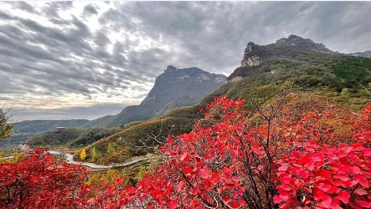 微信图片_2025-10-18_153656_886