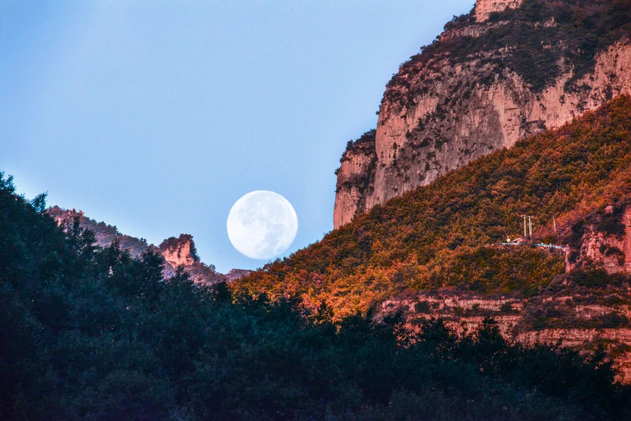 微信图片_2025-11-10_082059_896