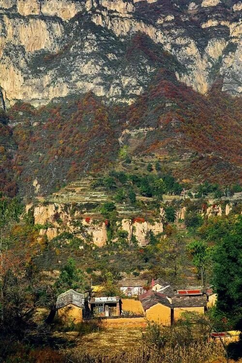 微信图片_2025-11-21_113621_567