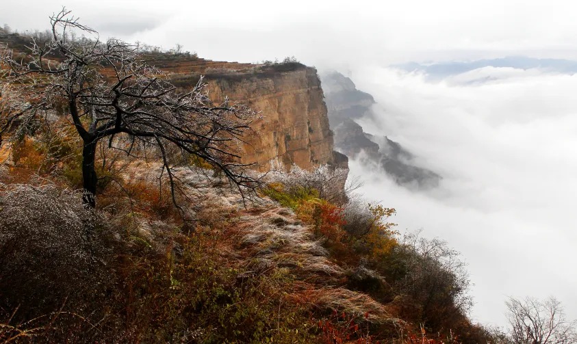 微信图片_2025-11-17_081549_497_看图王