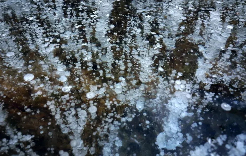 640 (3)_看图王.web