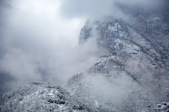 微信图片_2025-12-13_102615_324_看图王