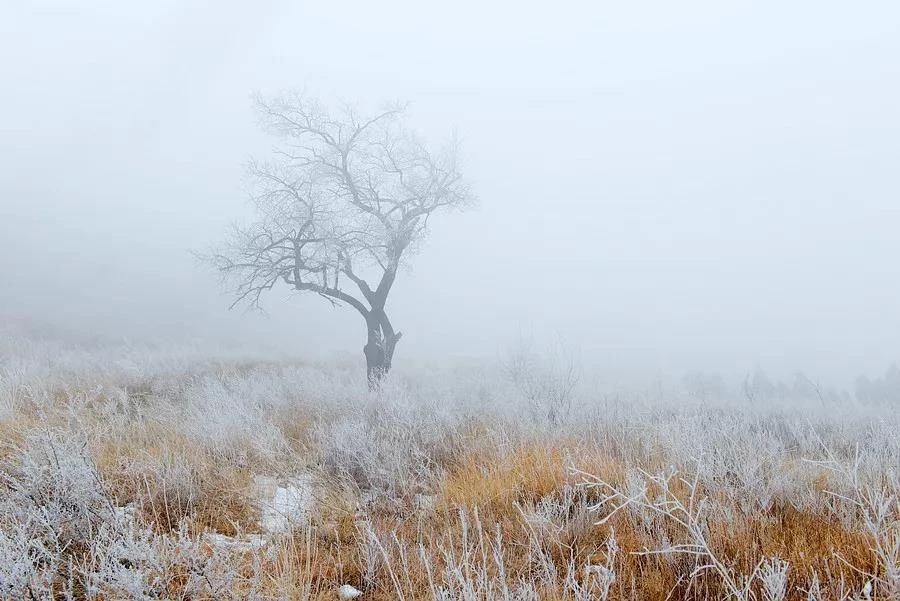 微信图片_2025-12-13_102629_972_看图王