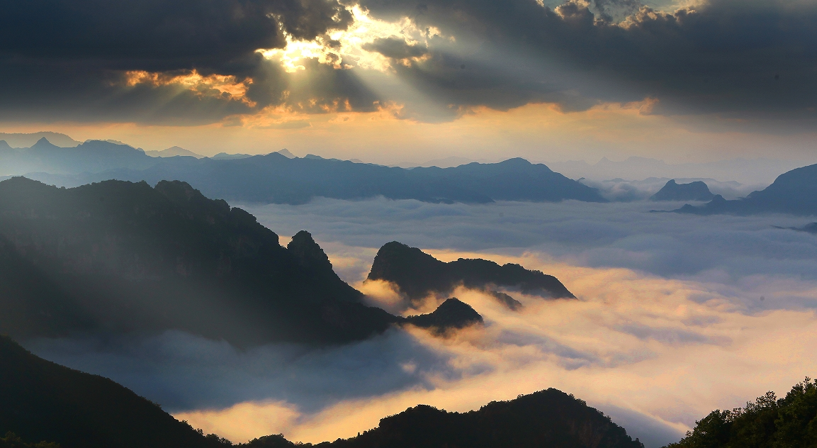 微信图片_2026-01-10_161040_959