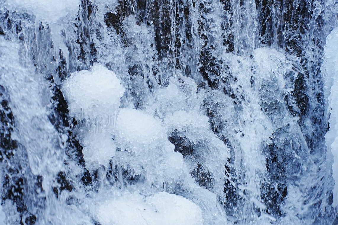 微信图片_2026-01-21_084648_001