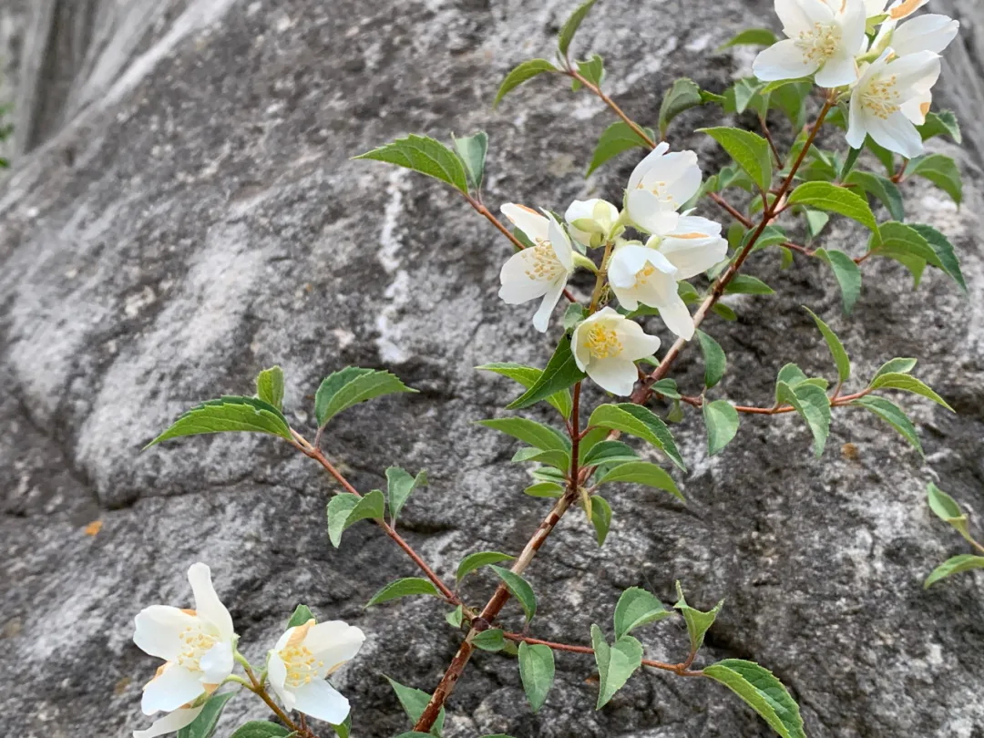 640 (6)_看图王.web