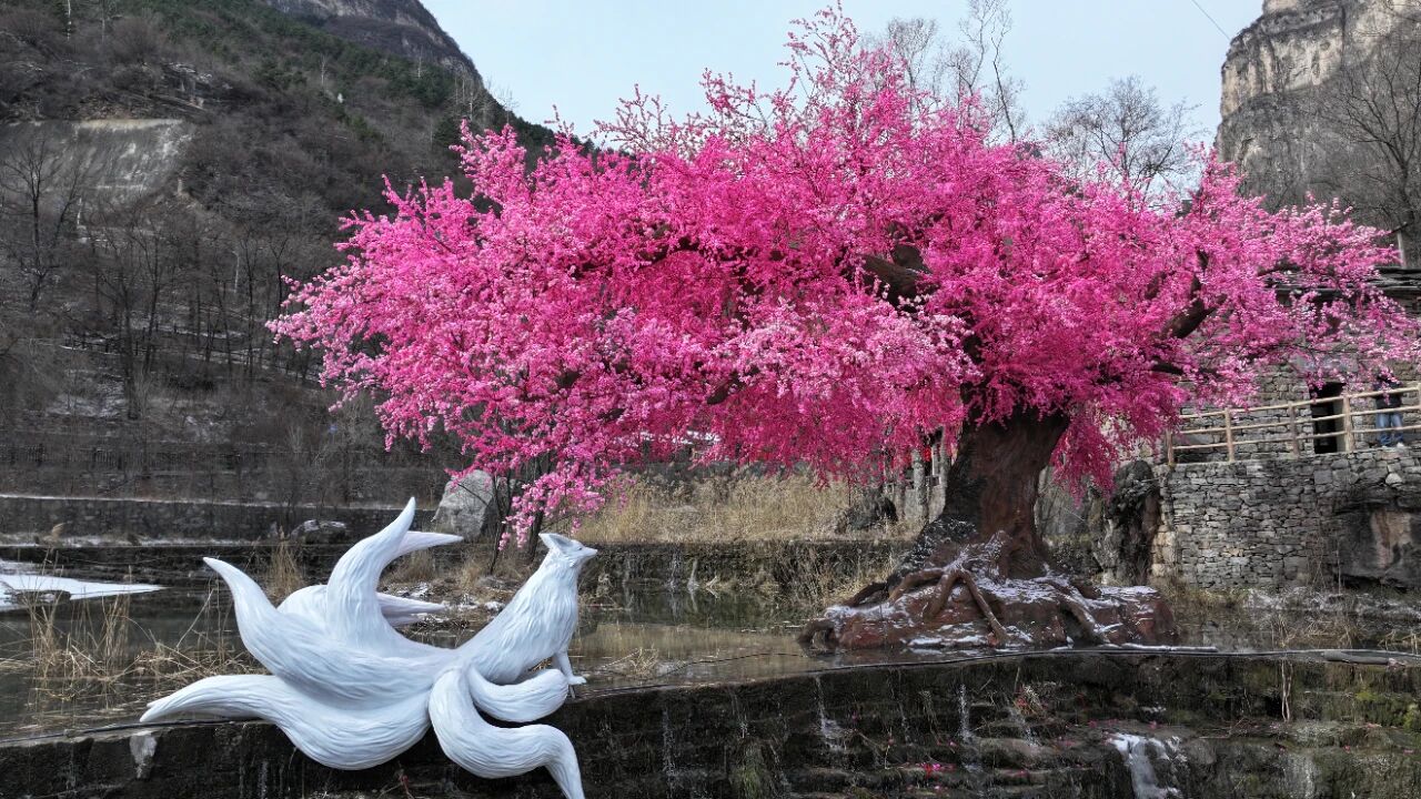 微信图片_2026-02-28_144223_950