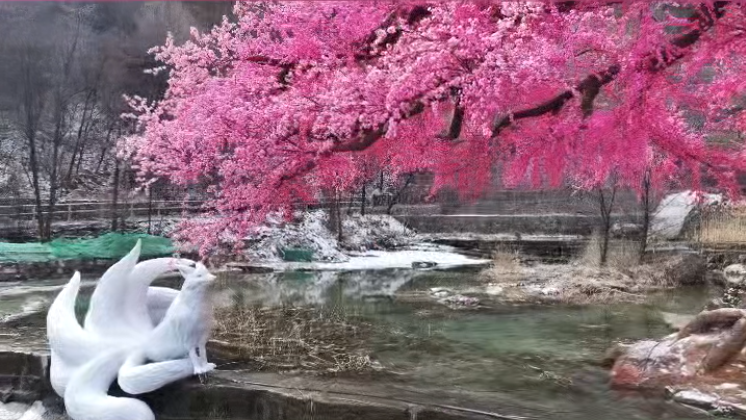 微信图片_2026-03-02_142730_671