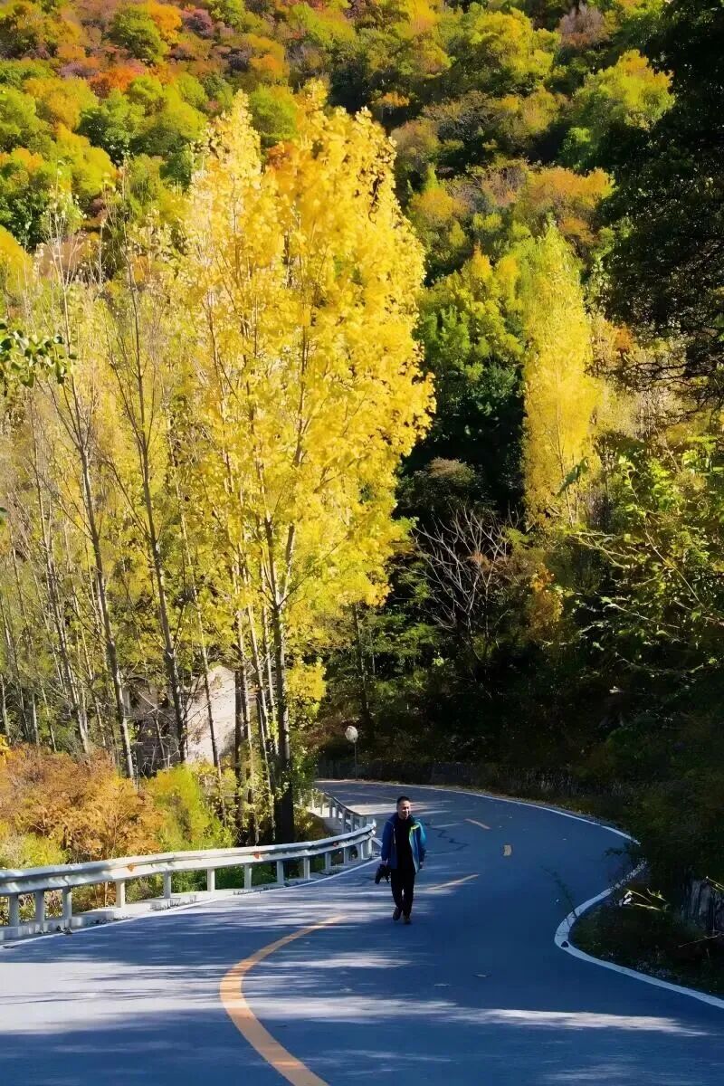 微信图片_2026-02-26_084323_125