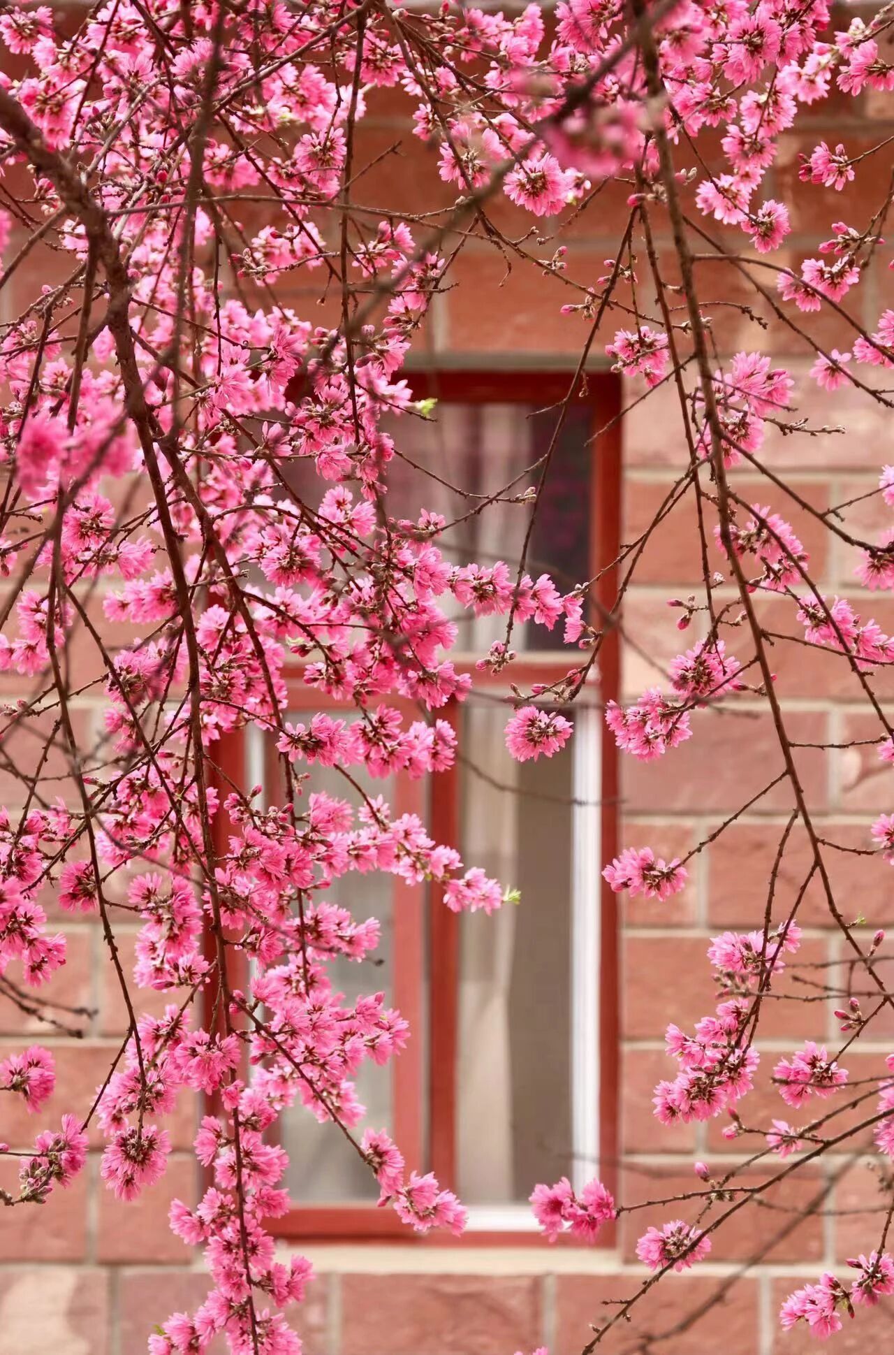 微信图片_2026-03-10_084323_344