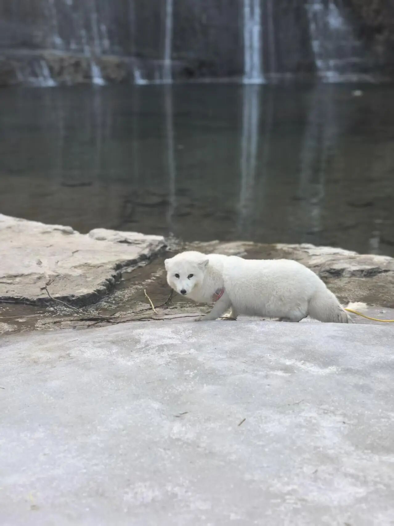 微信图片_2026-02-24_150005_104