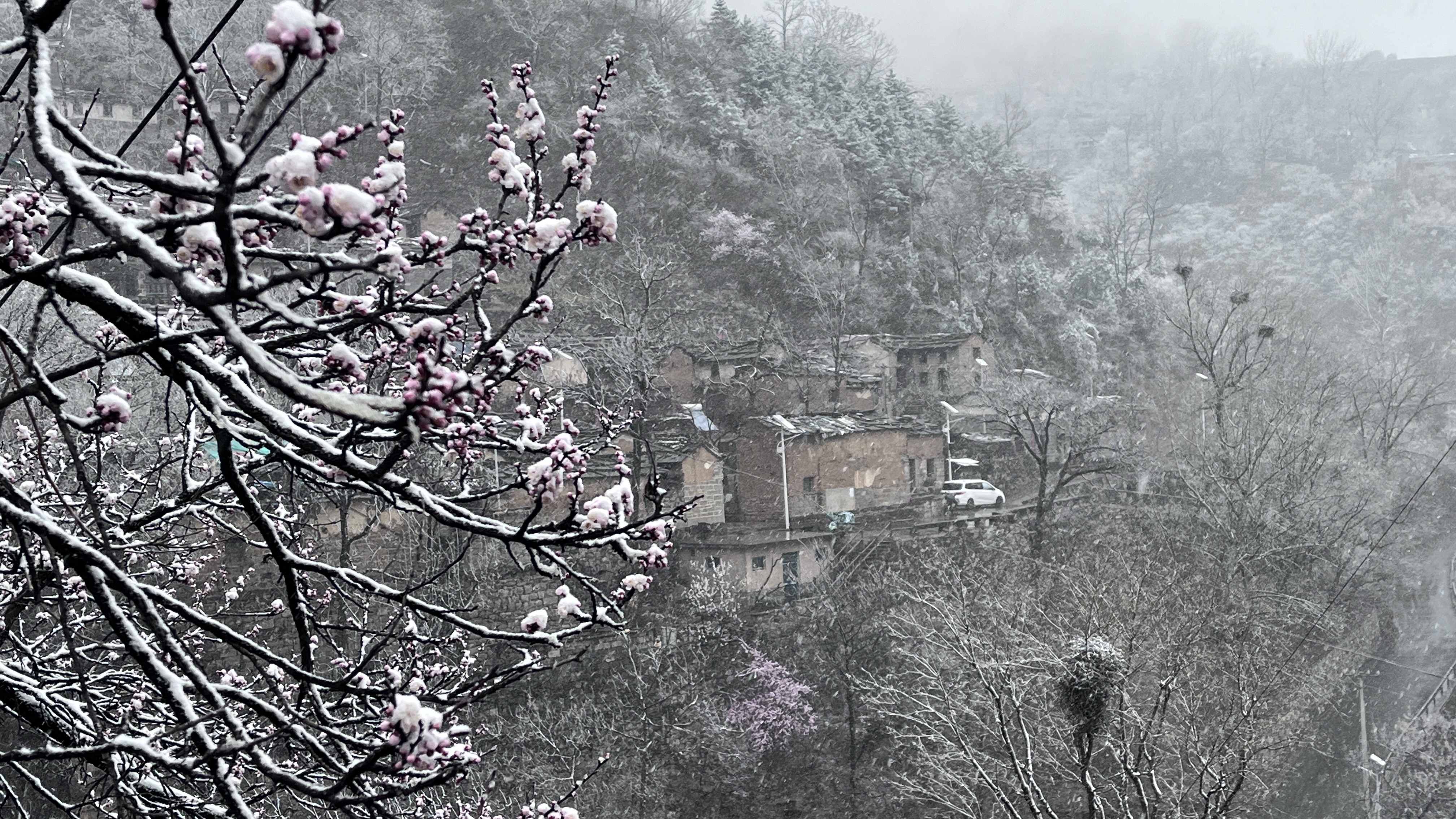 微信图片_20230317090542