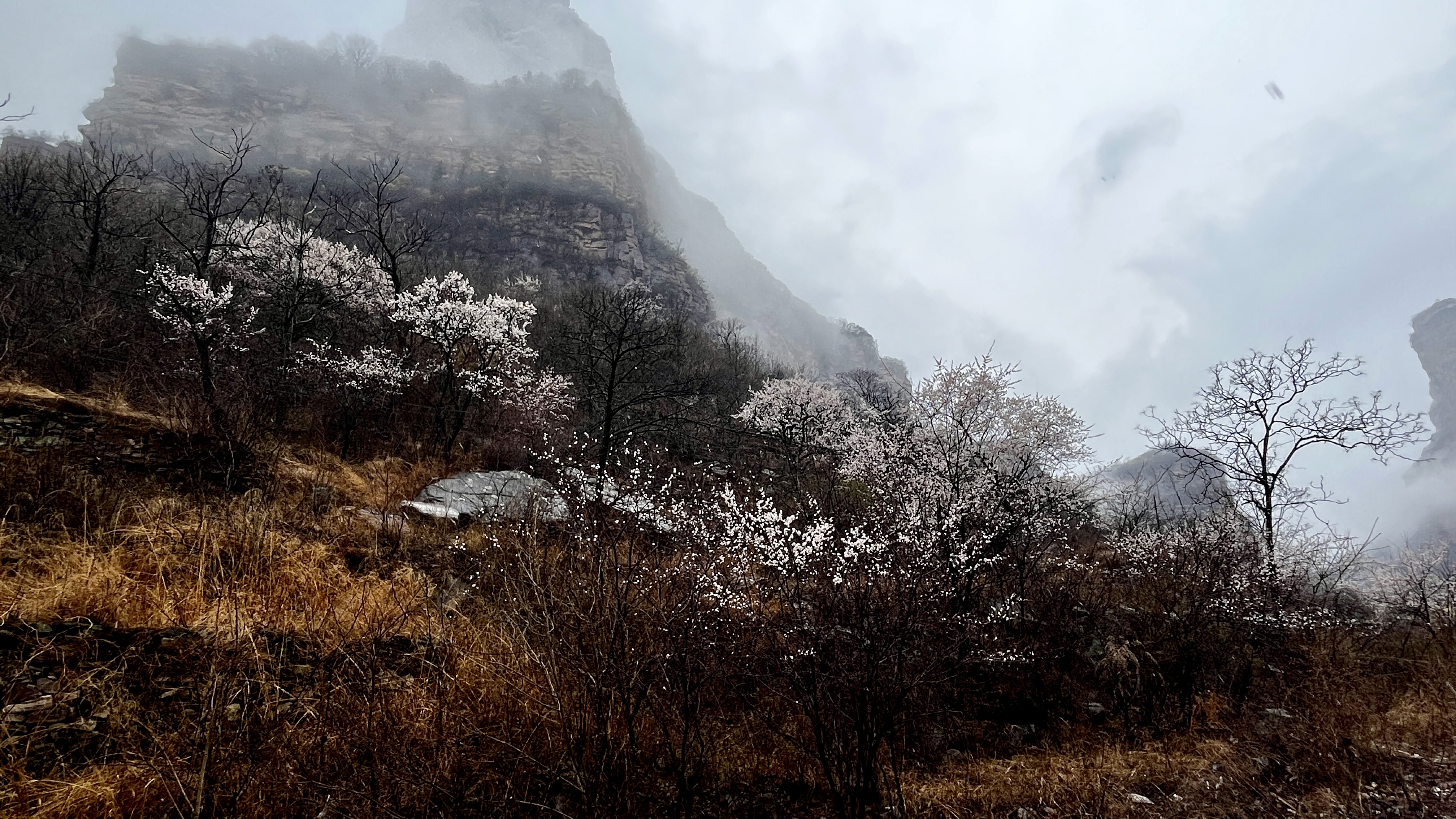 微信图片_20230317090132