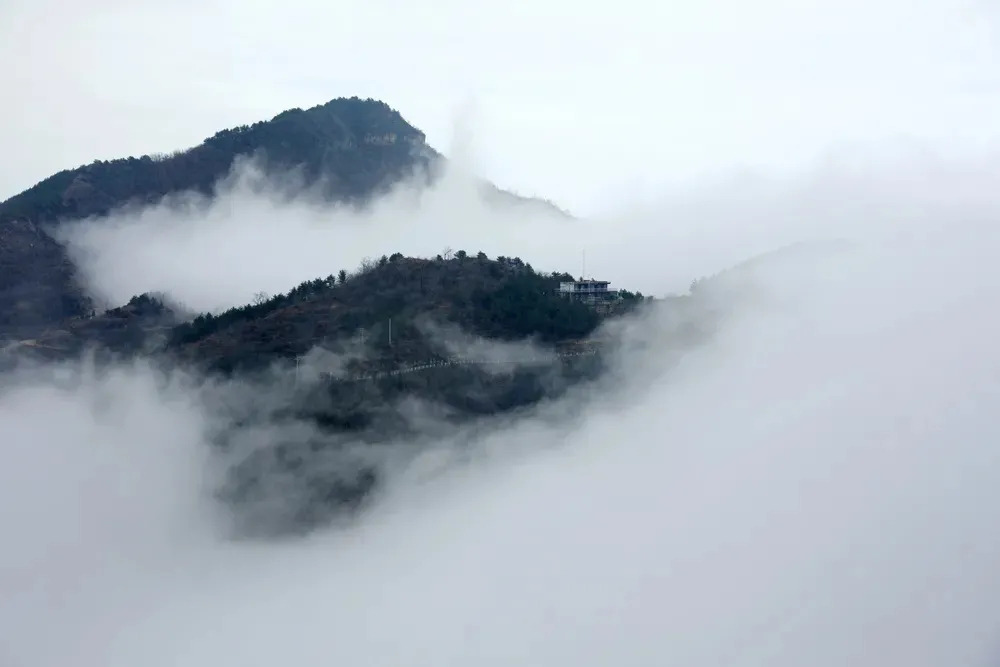 640 (3)_看图王.web