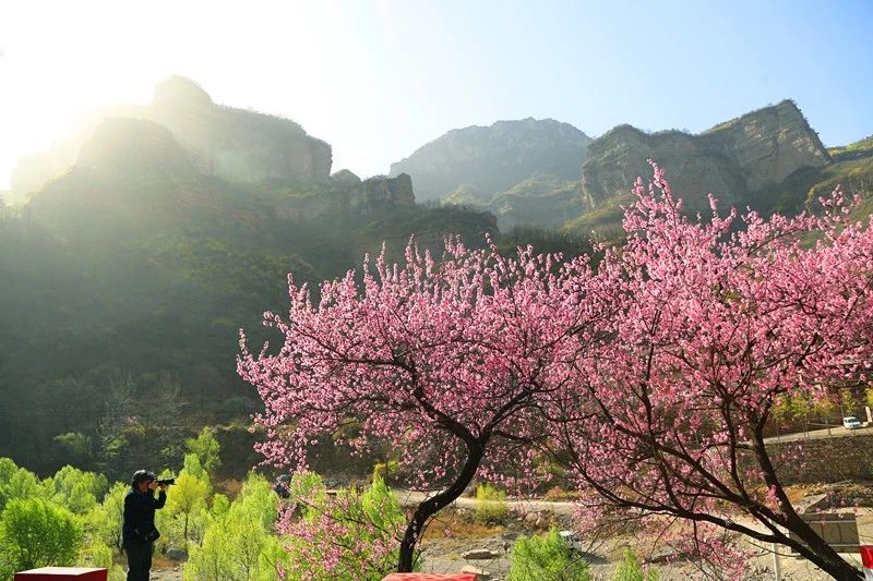 微信图片_20200317082753