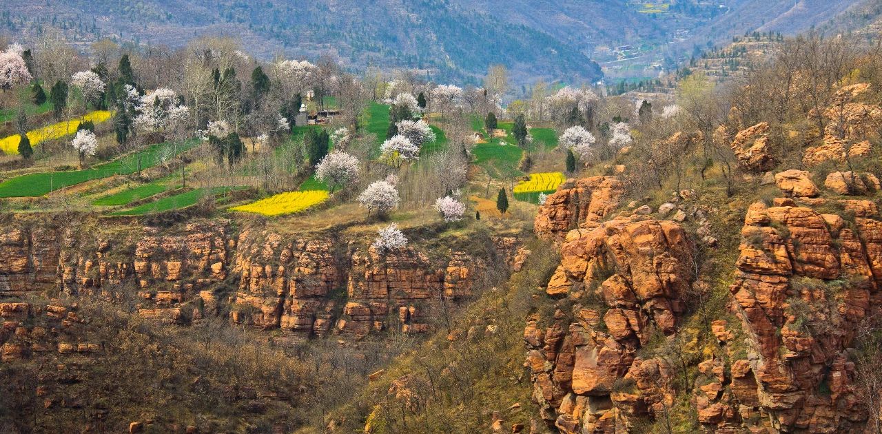 微信图片_20200317082811