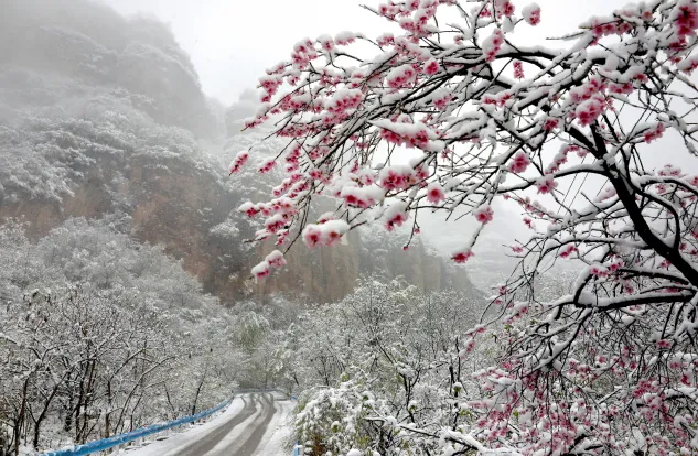 640 (5)_看图王.web