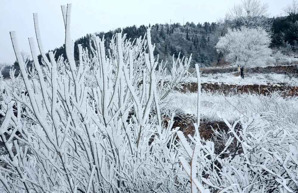 微信图片_20220121155157