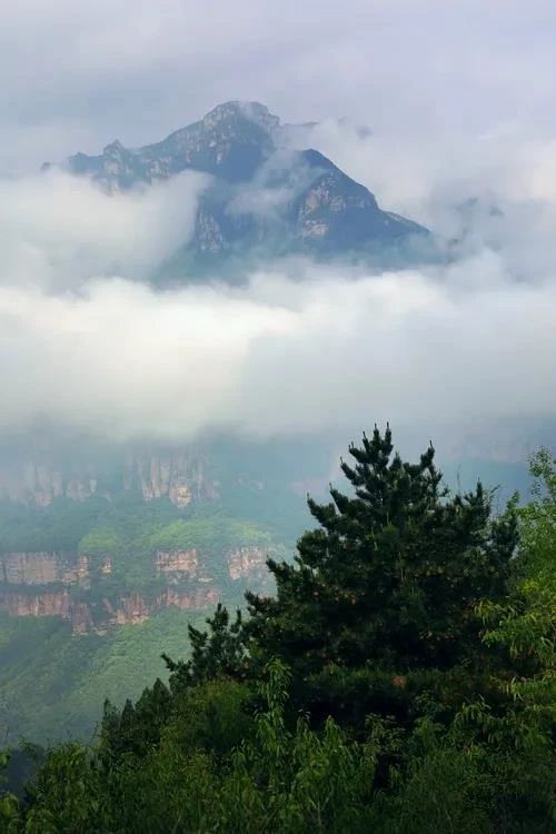 微信图片_20250606082924