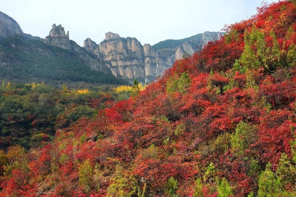 微信图片_2025-10-18_160203_053_看图王