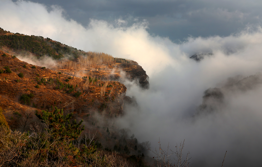 微信图片_2025-11-17_081544_774