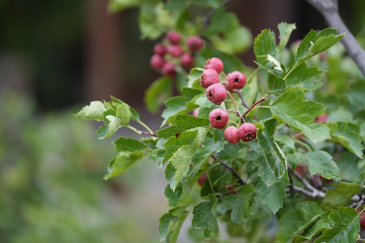 微信图片_2025-11-03_104000_524