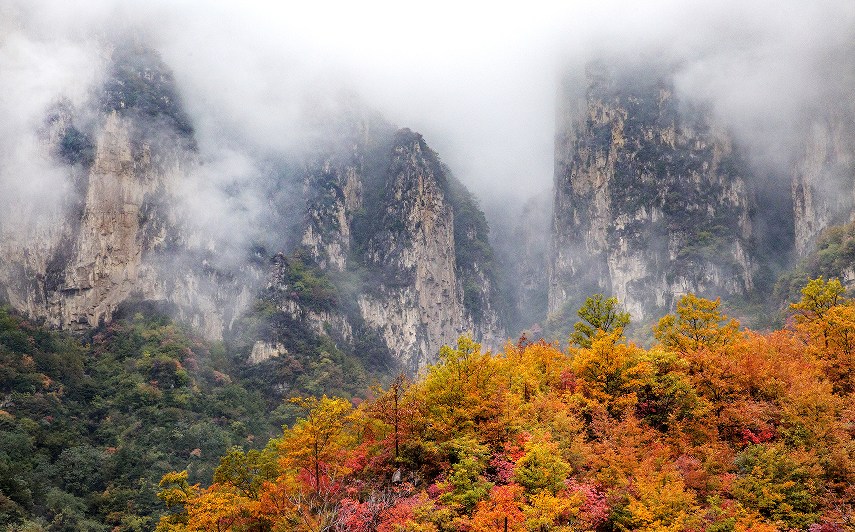 微信图片_2025-11-03_102910_943