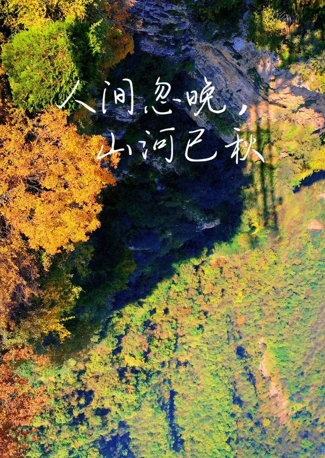 微信图片_20211022171715