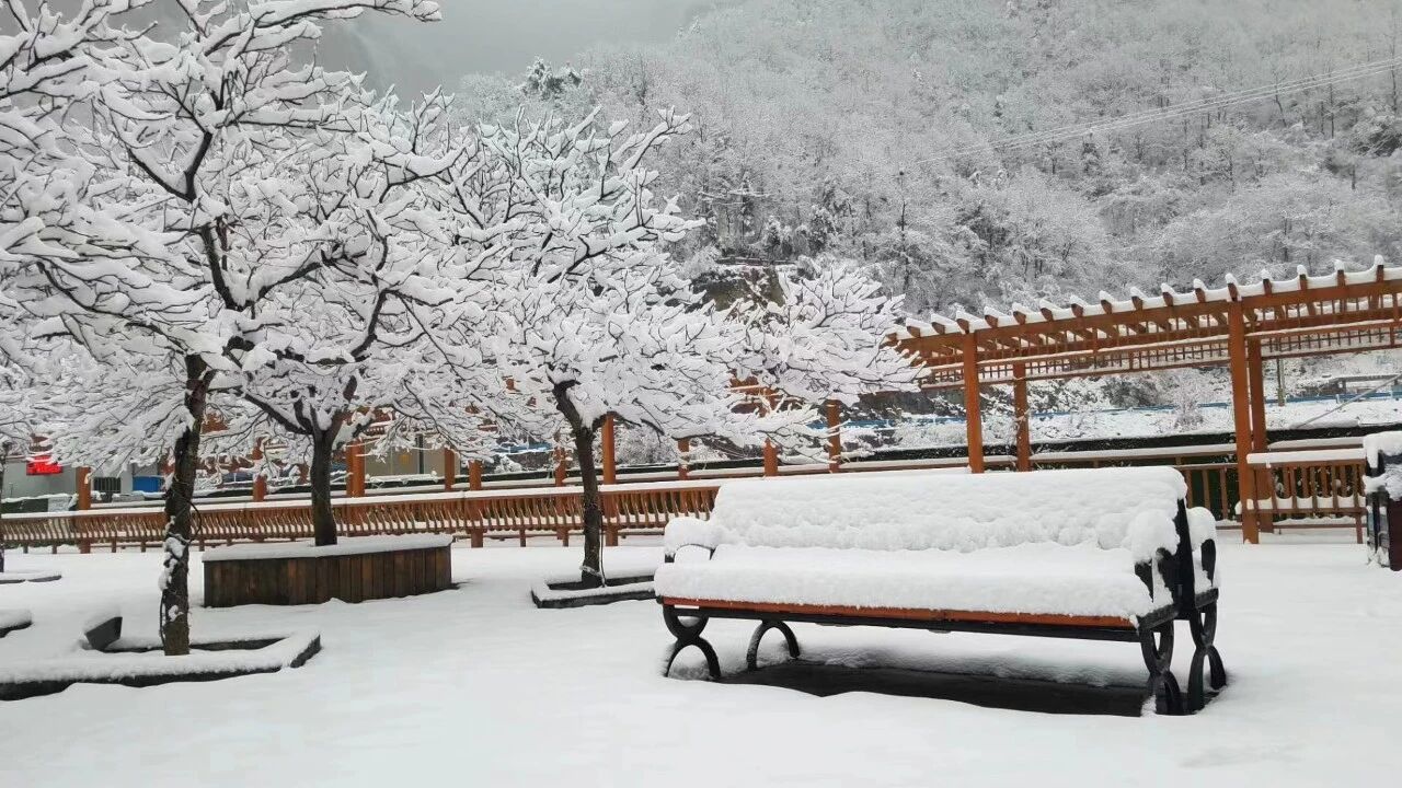 微信图片_2025-12-13_105335_368