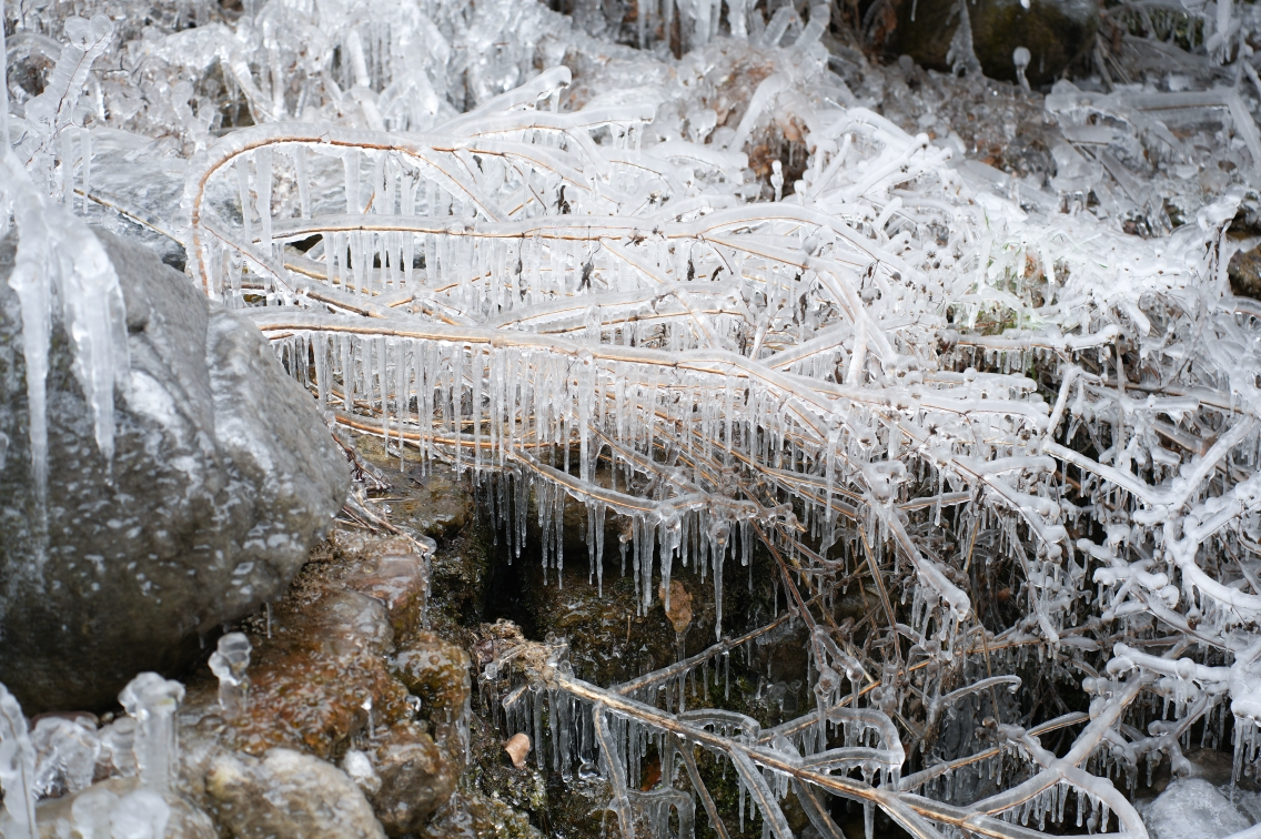 微信图片_2025-12-31_154233_955