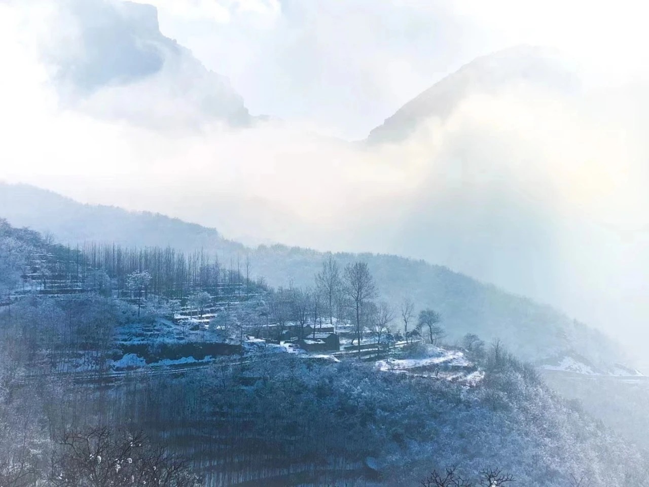 微信图片_2025-12-31_144349_939_看图王