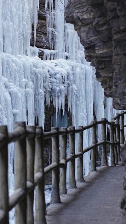 微信图片_2025-12-31_142028_869