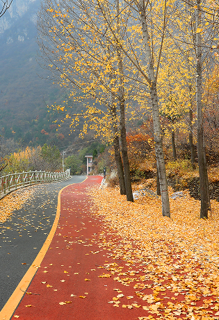 微信图片_2025-12-31_142741_971