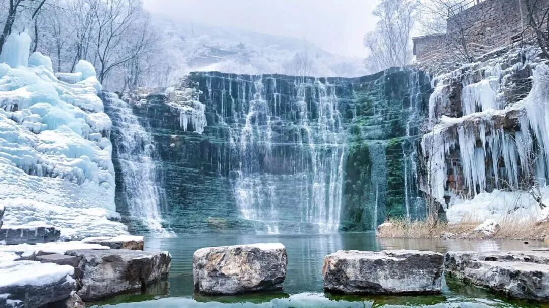 微信图片_2025-12-31_142804_673