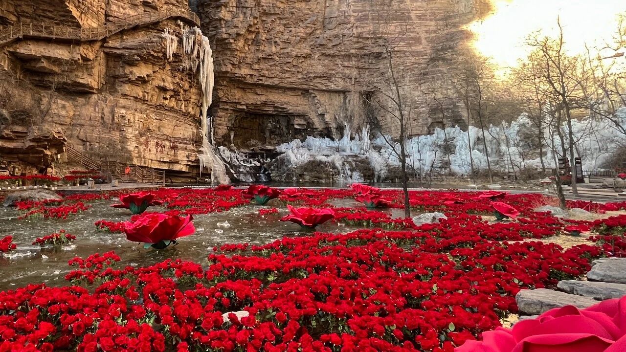 微信图片_2026-01-21_085715_269