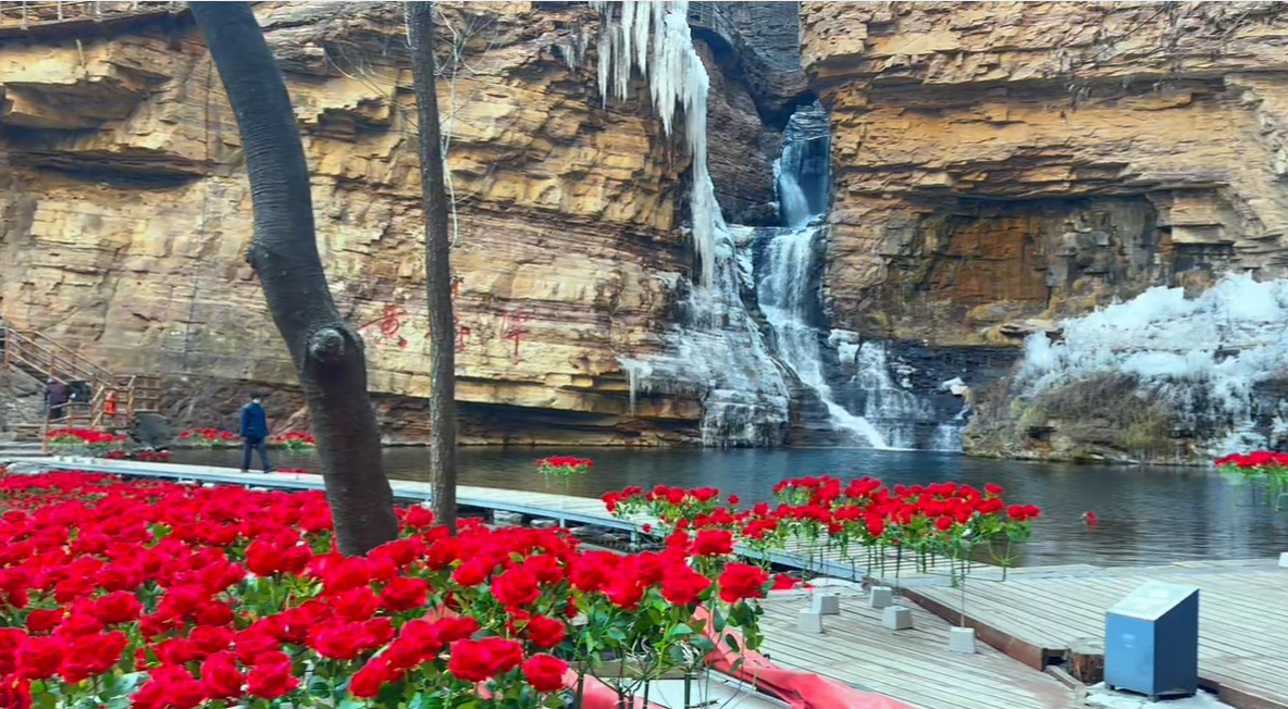 微信图片_2026-01-12_115213_788