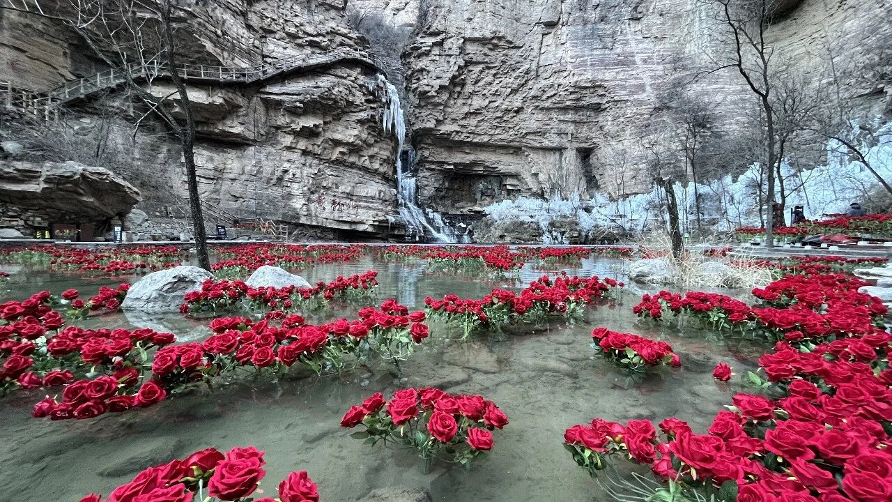 微信图片_2026-01-15_112854_980