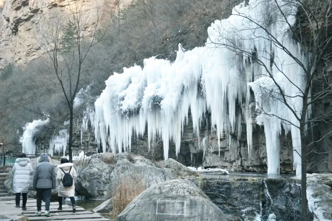 微信图片_2026-01-15_134429_323