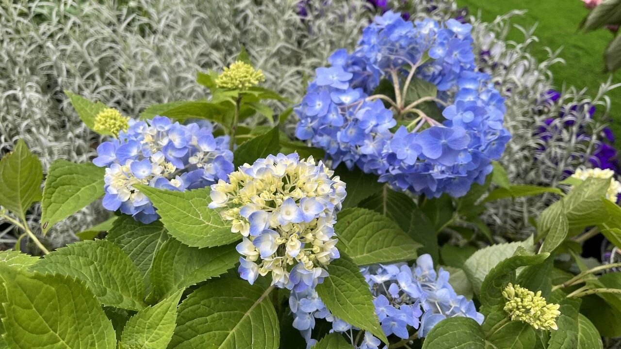 微信图片_2026-04-02_155540_511