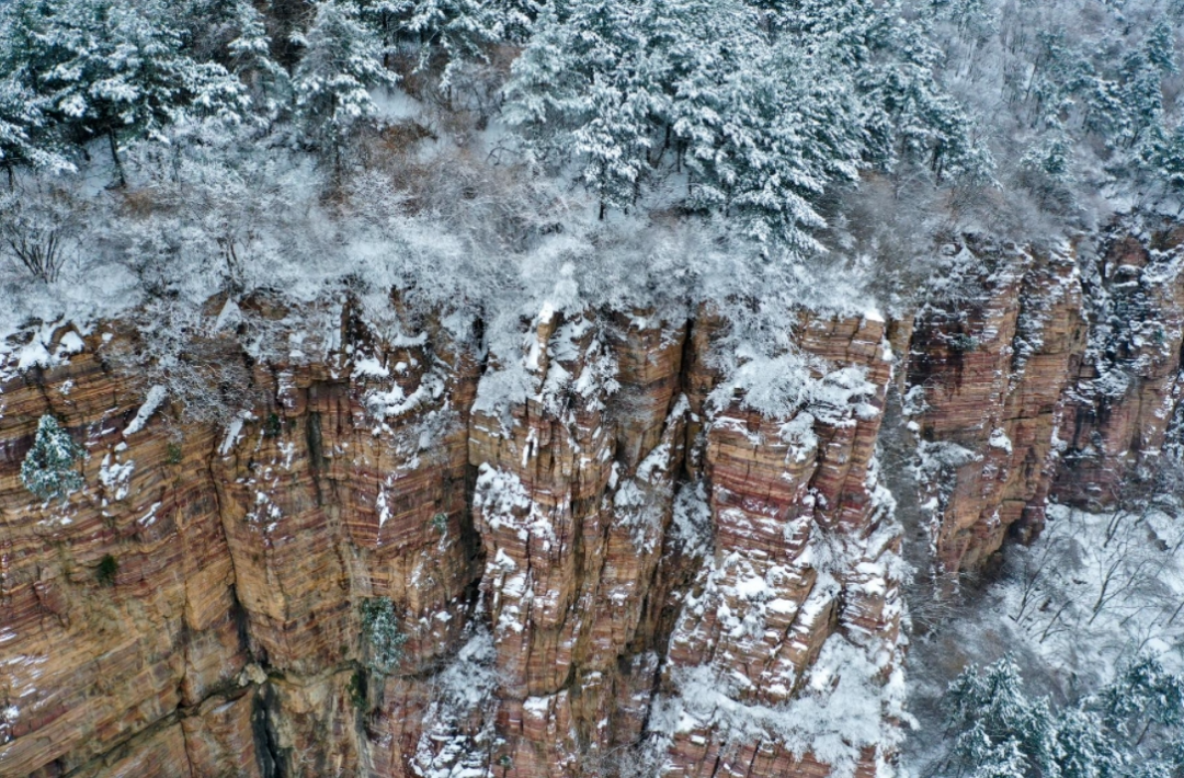 微信图片_2026-01-26_150046_702