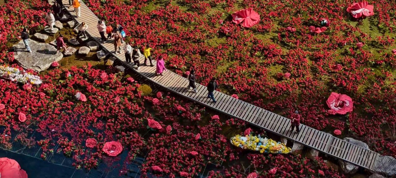 微信图片_2026-03-12_151634_806