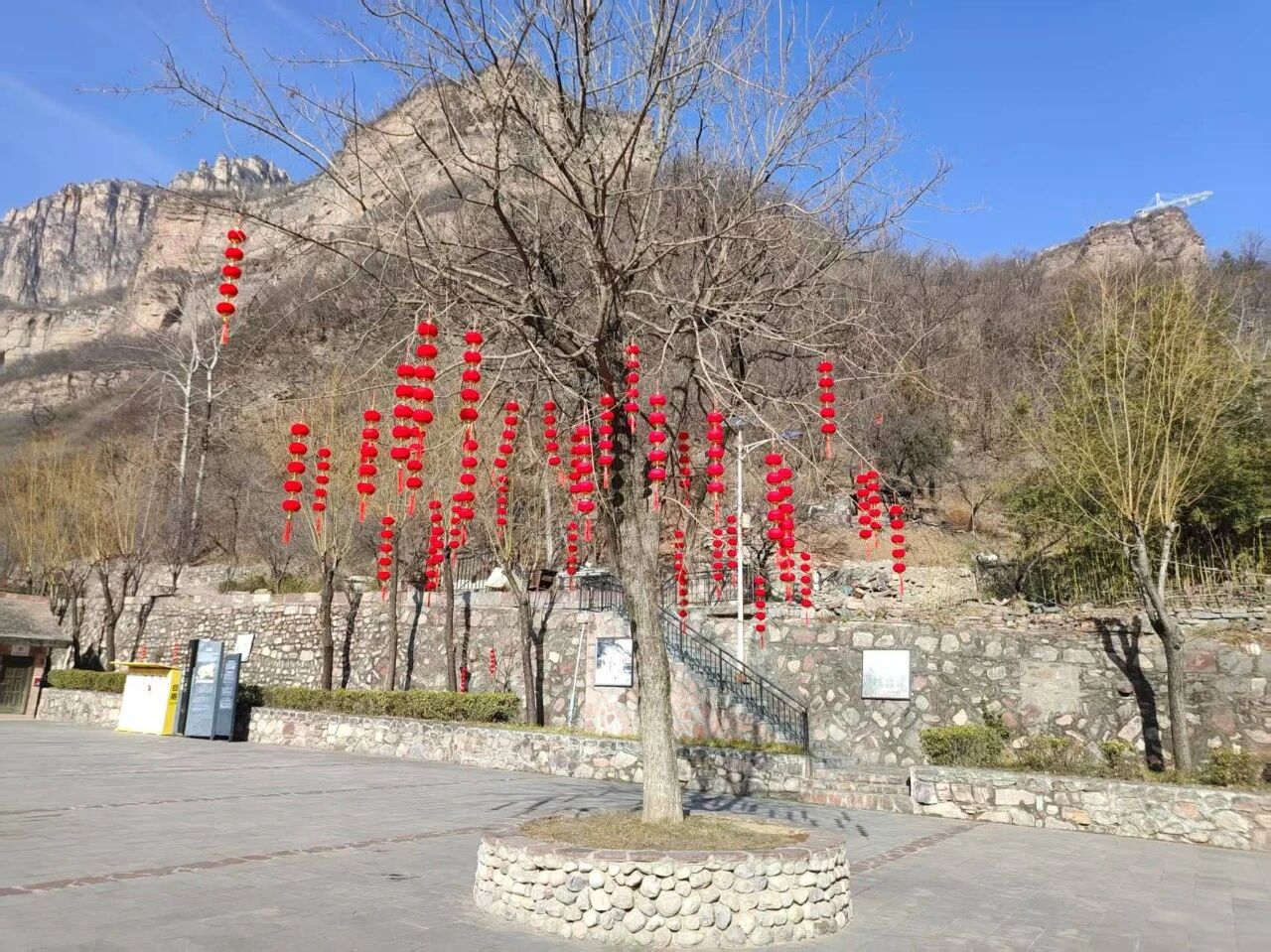 微信图片_2026-02-24_175941_132