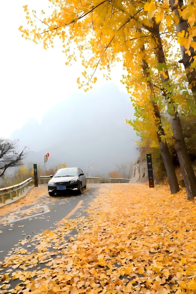 微信图片_2026-02-26_084327_285