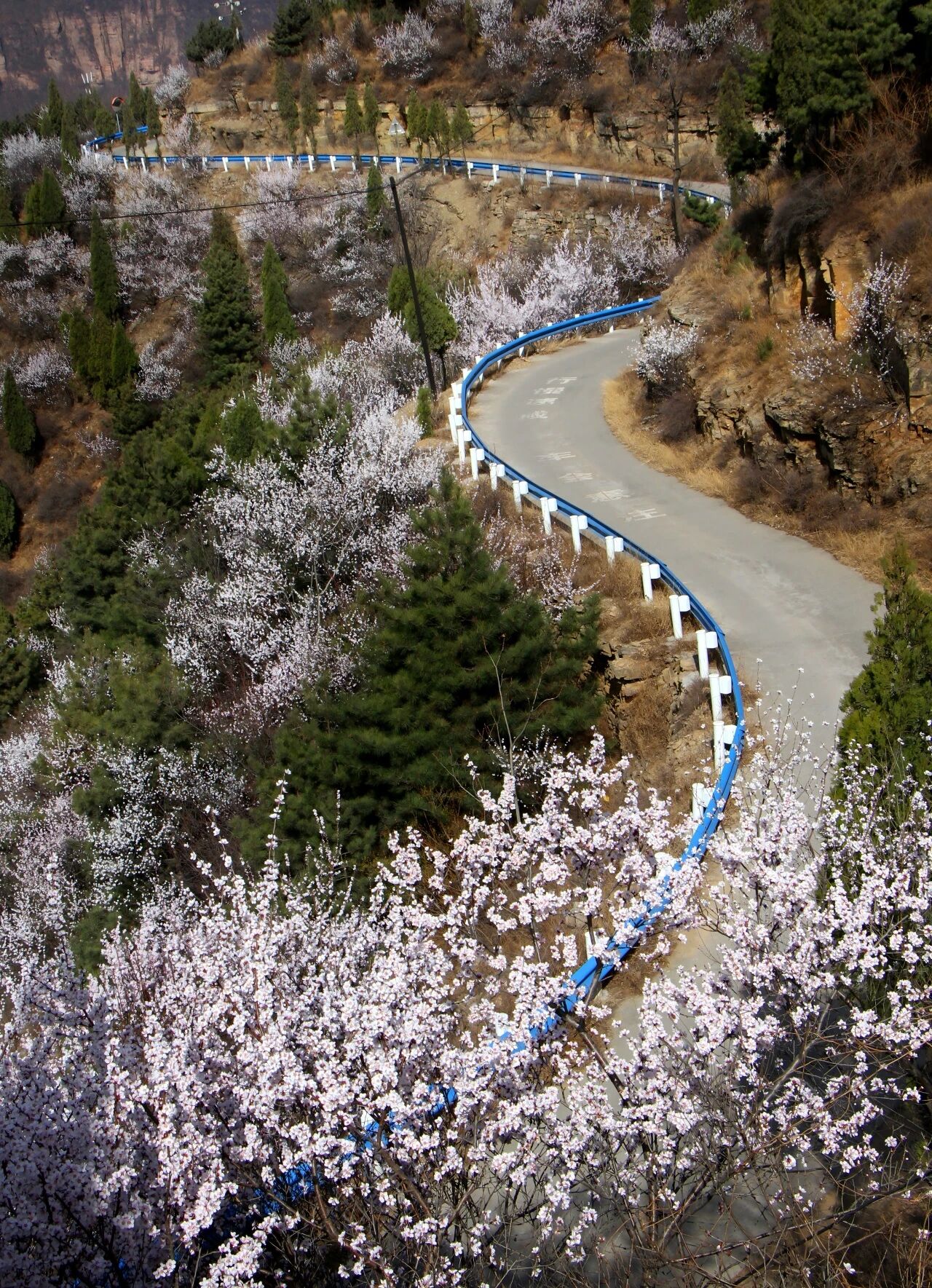 微信图片_2026-03-10_084247_088