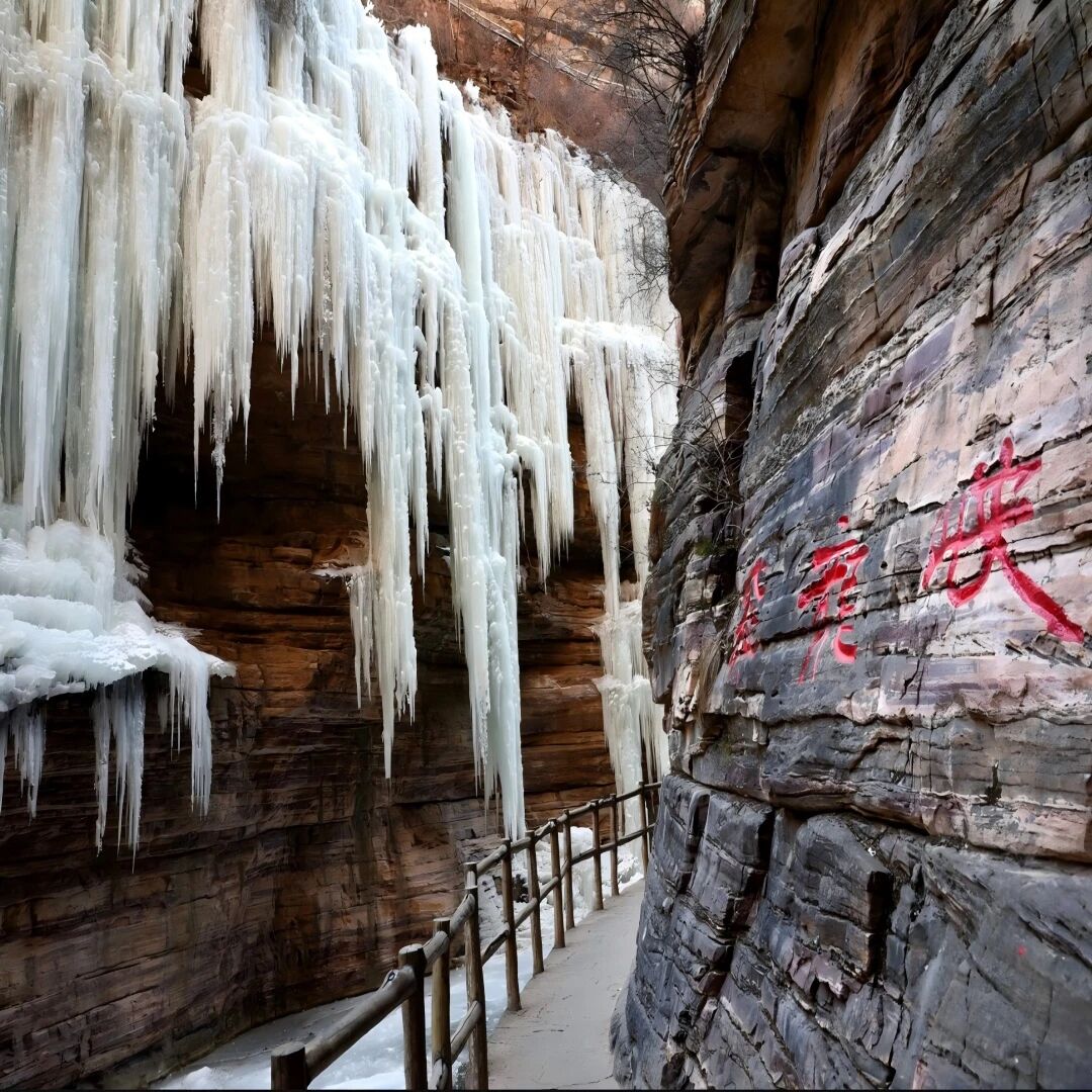 微信图片_2026-02-04_101648_873