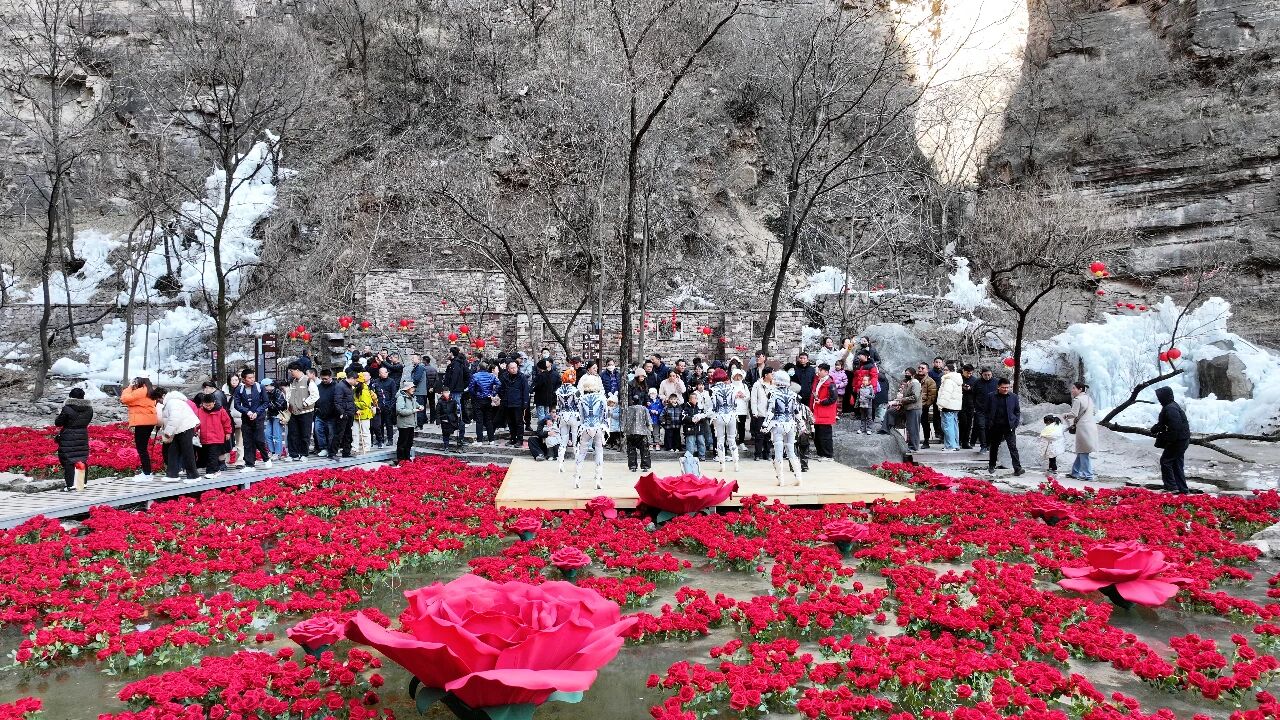 微信图片_2026-02-24_162013_494