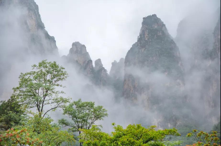 微信图片_20210821151459