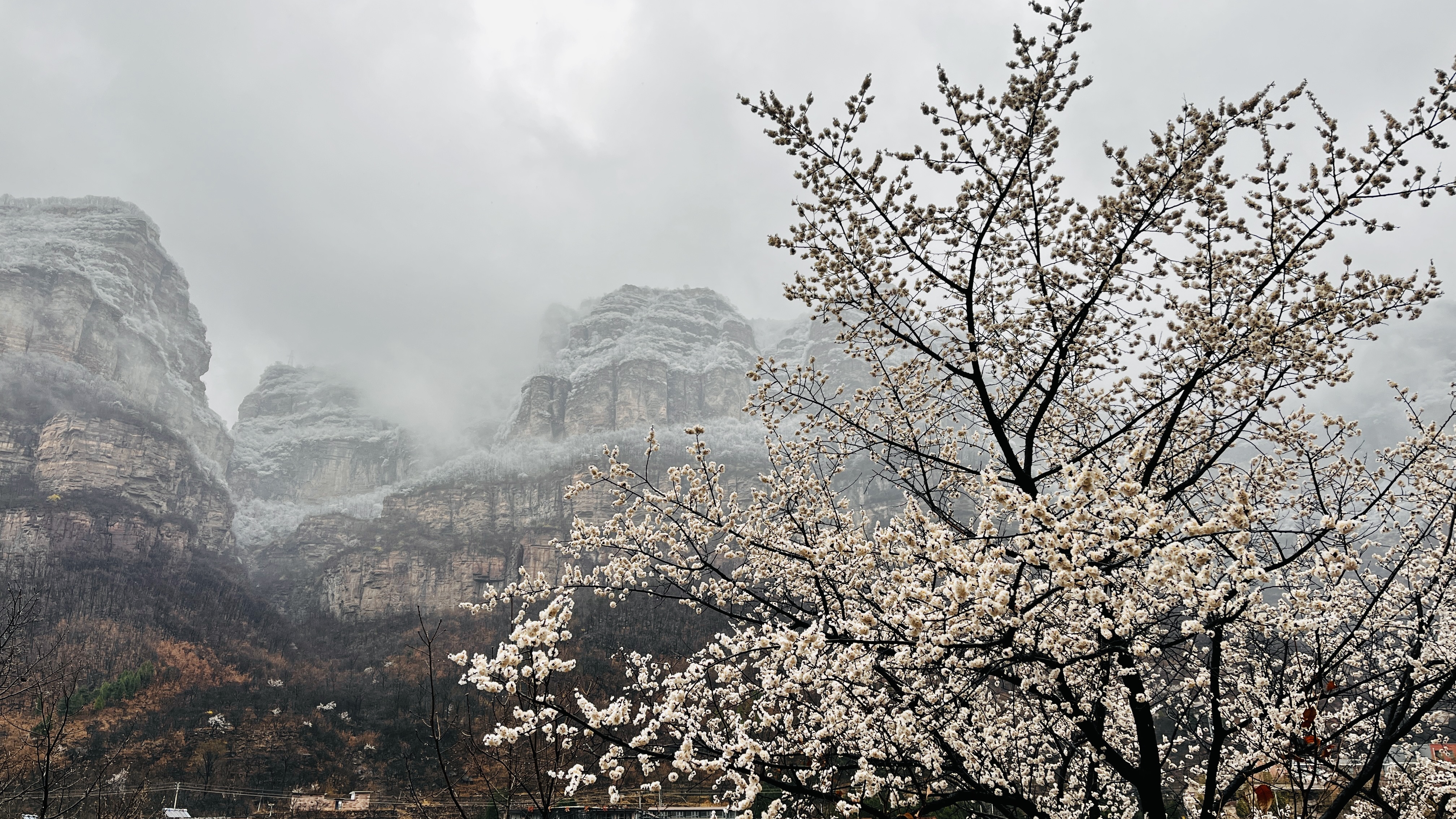 微信图片_20230317090101